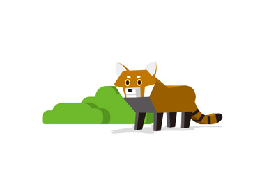 Raccoons