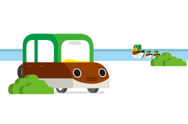 Duck car